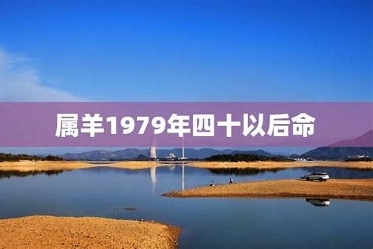属羊人上辈子欠谁的债