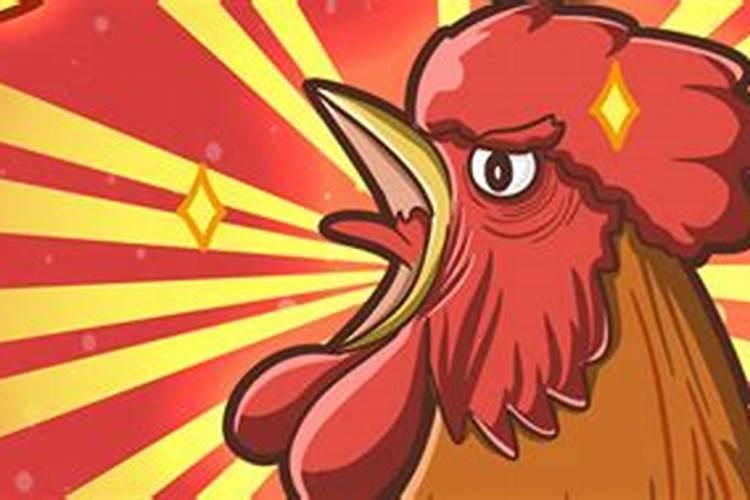 婚配时说属相不合的人,结婚后都如何了？