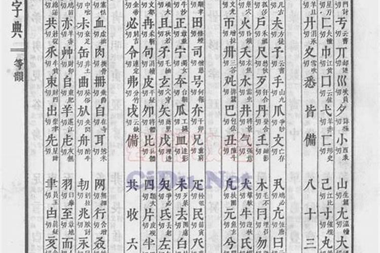 属猪人和属猪人在一起日子过好吗