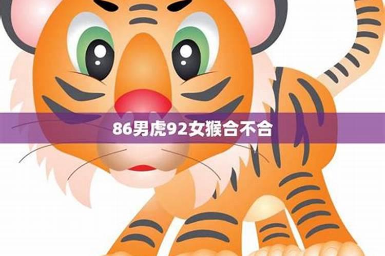 女人梦见猫咬的七大预兆