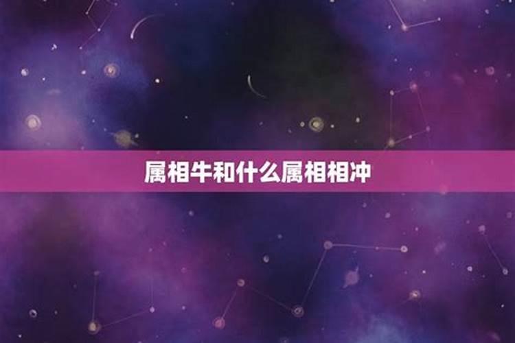 婚配属相真的很重要吗 属相不合会对婚姻的影响？