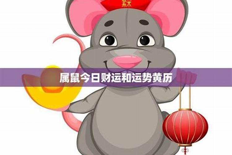 梦见一群黑山羊预示着什么？有什么特殊意思？