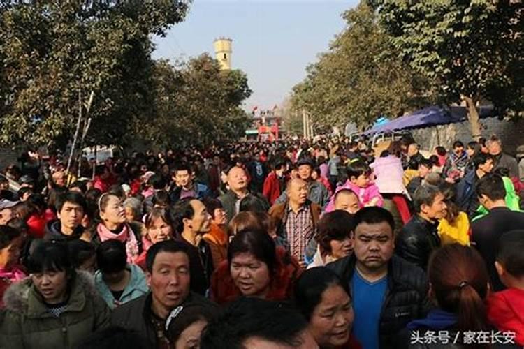 2025年属猪的全年运势