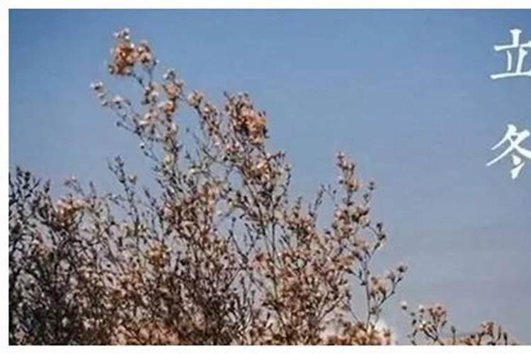 霜降节气有什么禁忌？