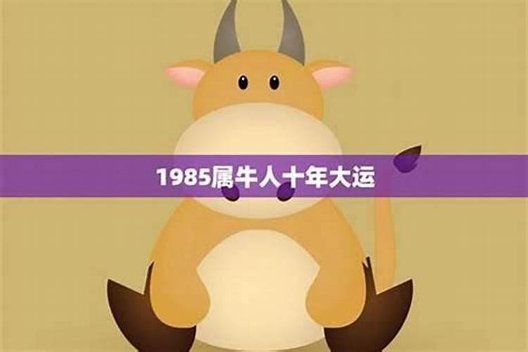 属牛的人2025年运势及运程详解