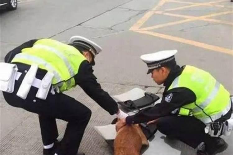 人死了请道士做法有什么用