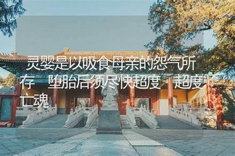 24节气冬至是什么意思 24节气冬至指的是什么