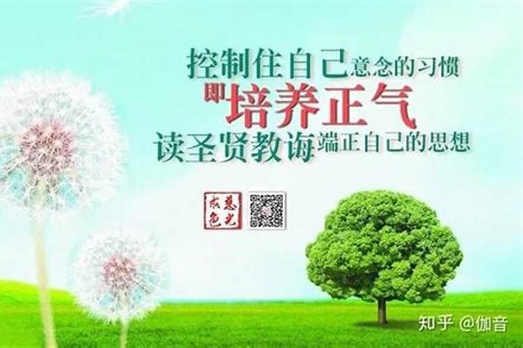 2025年清明节当天可以上坟吗？