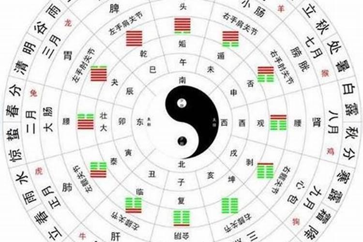 生肖鼠1984年2025年运势如何 生肖鼠1984年2025年全年运势