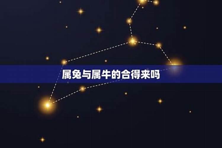 生肖问题,男兔和女牛结婚咋样？ 加八字,如比较差,有什么东西带了可以化...