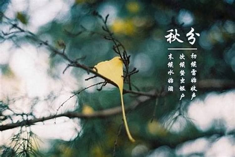 秋分节气的含义 秋分的传统习俗
