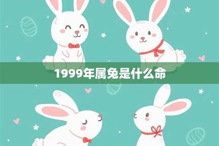 十二生肖的风水文昌位在哪里？