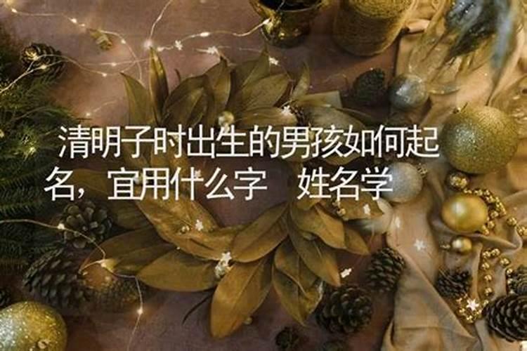 八字中的金木水火土分别代表什么？