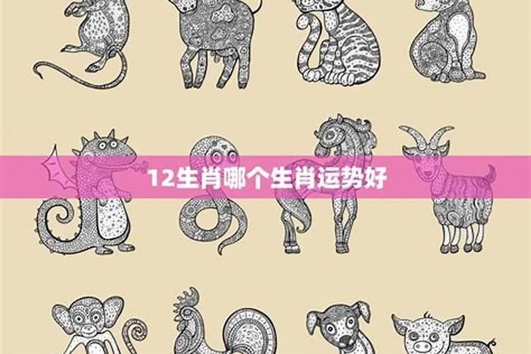 太岁与犯太岁是怎么回事？
