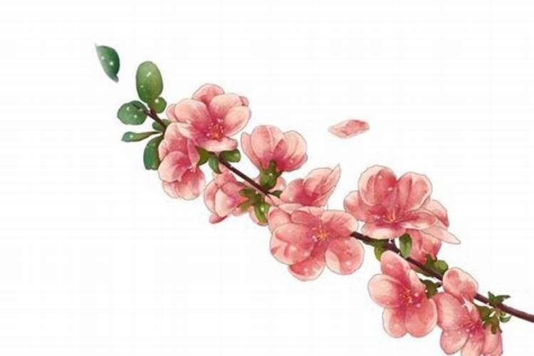 96鼠男和98虎女的婚姻 属鼠男和属虎女的婚姻怎么样