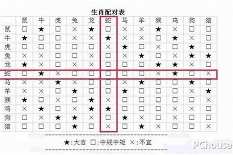 女属龙的婚姻配对最佳