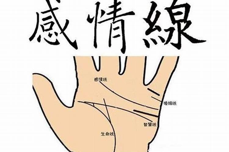 如何通过手相看命运