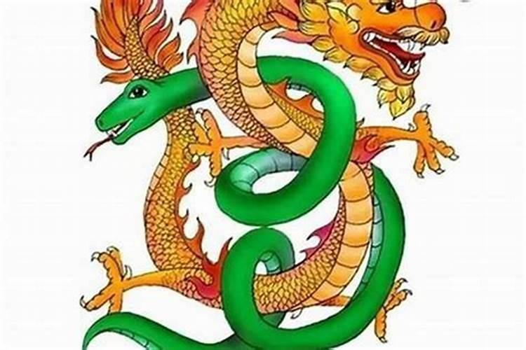 龙男女蛇属相合吗