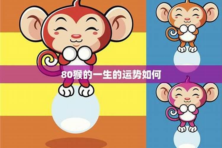 1965年属蛇2024年刑太岁运气如何 65年57岁生肖蛇犯太岁如何化解百度...