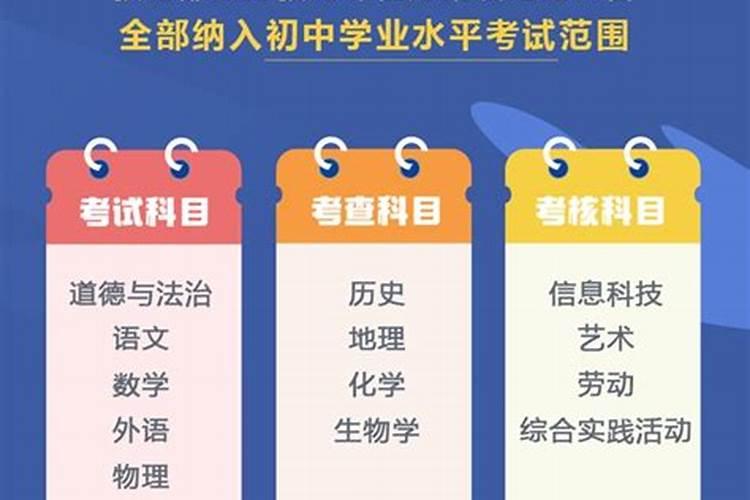 2025年生肖猪的全年运势如何