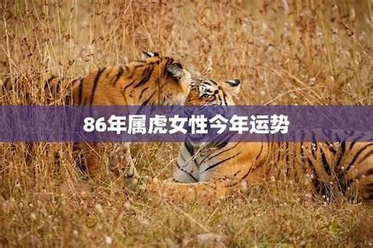 猪和猴真的不能在一起 2023属猪要小心一个人
