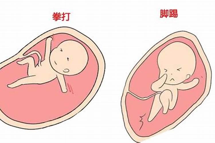 八字五行对应的器官,五脏五行顺口溜