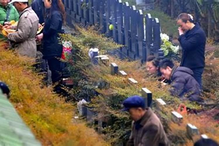 2025年破太岁时间表