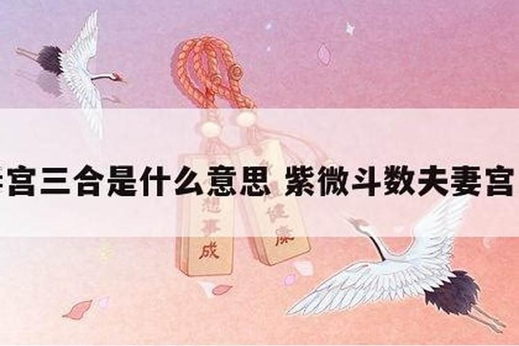六合婚姻和三合的婚姻哪个好？