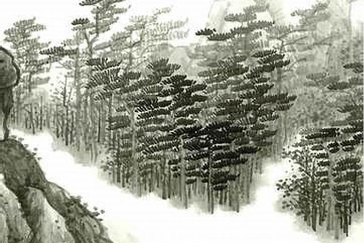 72年鼠女今年每月运程