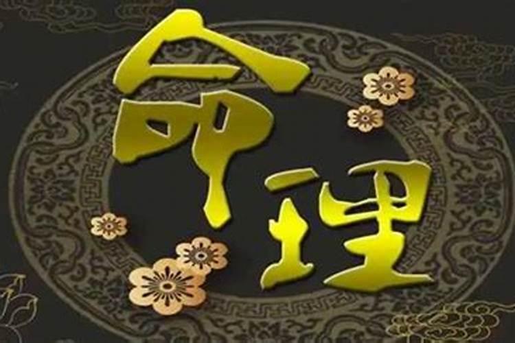 清明节的习俗作文500字