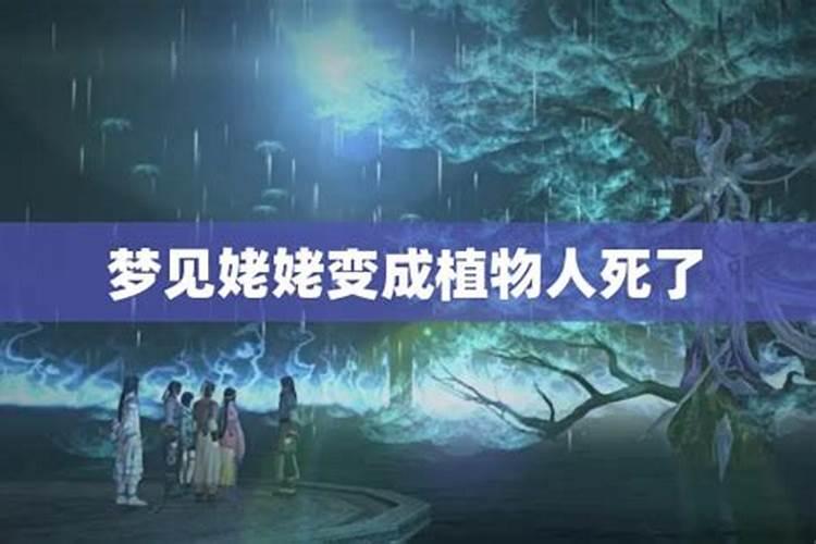 为什么小笤帚辟邪为啥小笤帚辟邪