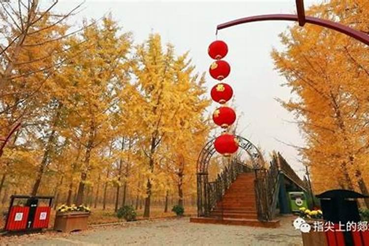 梦见捡鸡蛋是什么意思周公解梦