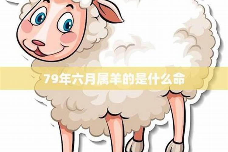 79年的闰六月羊命42岁命运 42岁之后事业财运提升？