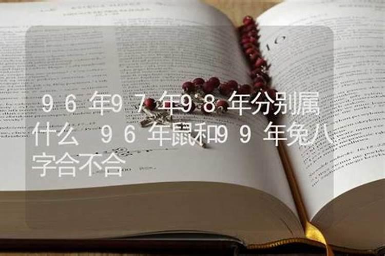 老鼠和兔子属相合不合