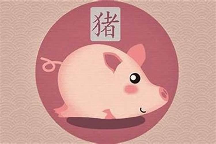 07年属猪的人今年有劫难吗 每月运势如何