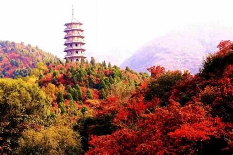2022年农历七月十五鬼节特吉属相运势指数