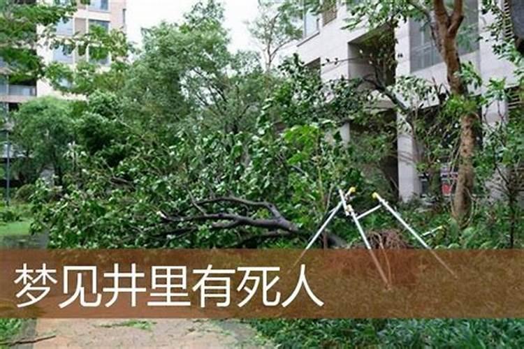 女人梦到死人头颅是什么意思