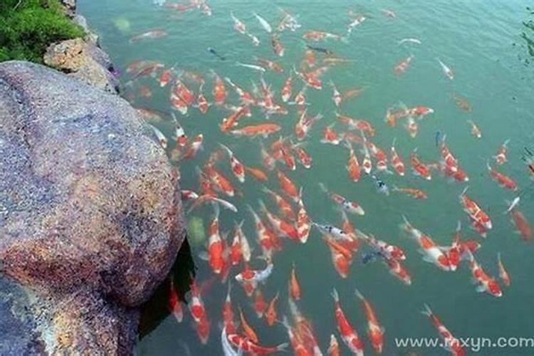 鬼节梦见鬼是怎么回事？