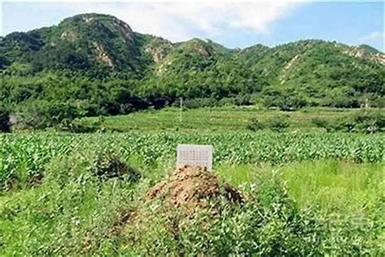 梦见和亲人去拜墓