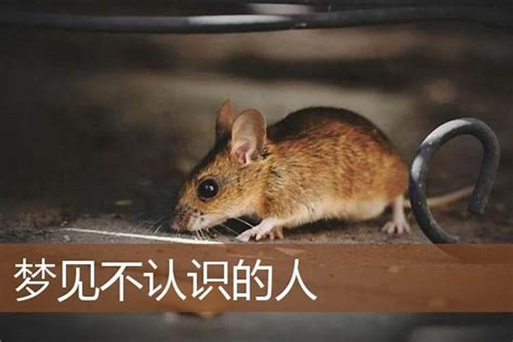 盂兰盆法会的意义