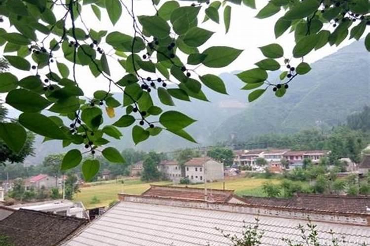梦见远房亲戚