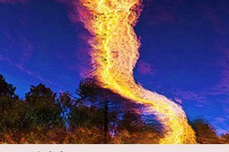 82年的狗出生人在2025年财运运气健康好不好