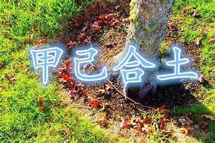 有病的女人梦见一匹马站在她的面前好吗？