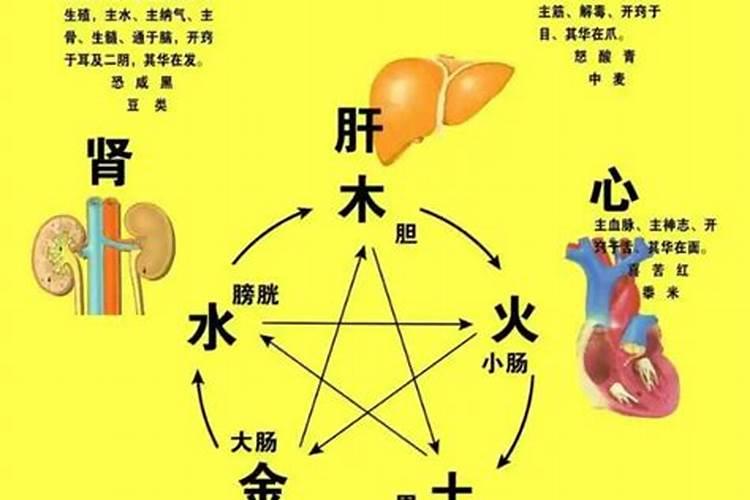 老公到了36岁本命年,送什么礼物才好