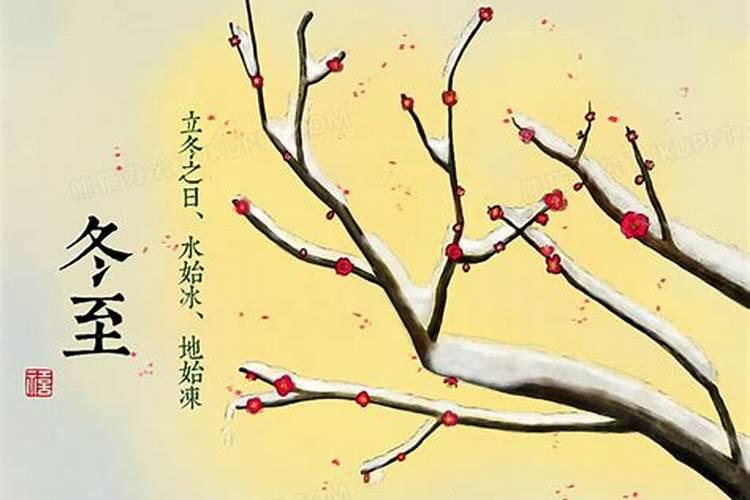 梦见满地死蛇的预兆