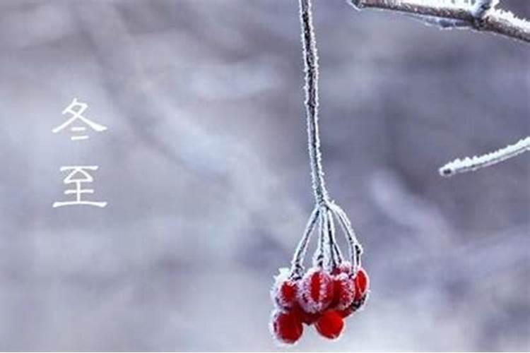 广东冬至节的风俗是什么呢？