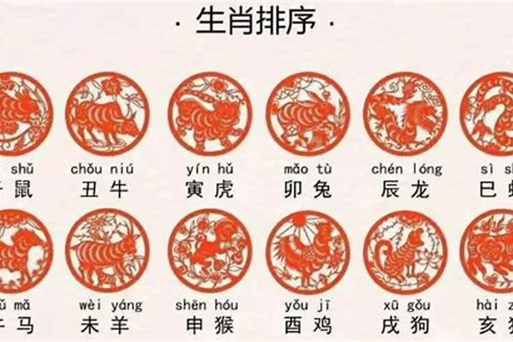 十二生肖的读音怎么读呢？
