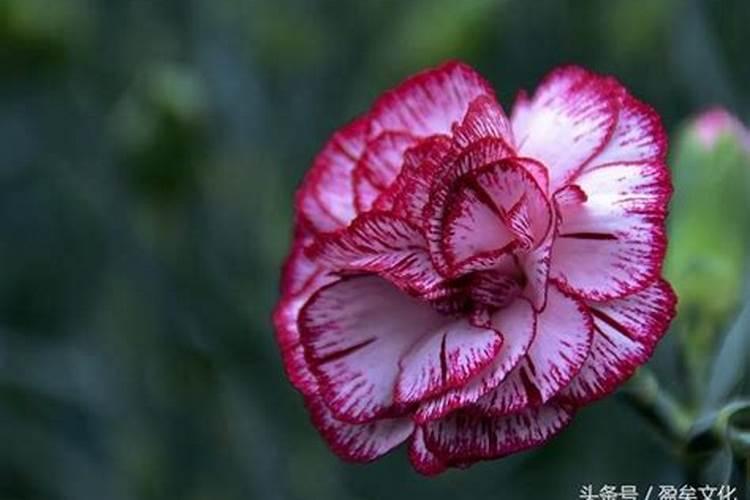 寒衣节思念亲人的句子