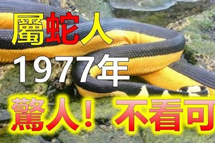 1985年腊月初三属牛的女好吗