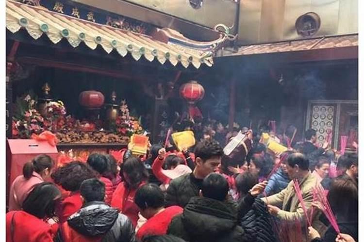 属猪人2025年全年运势及运程